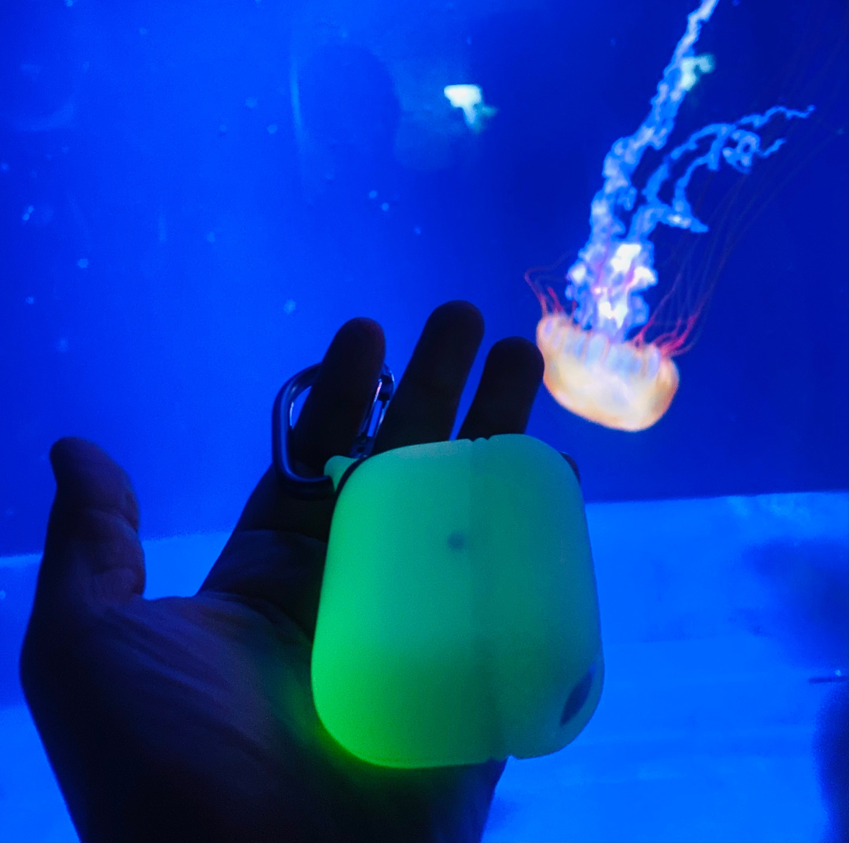 CATAPLAPDPROGITD | catalyst airpods pro gen 2 1 waterproof case carabiner special edition glow in the dark hand holding case jellyfish at the back